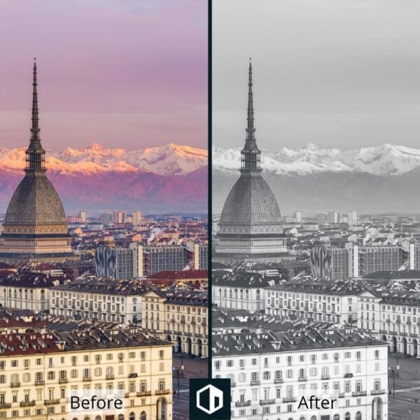 Black & White Presets Collection - Image 3